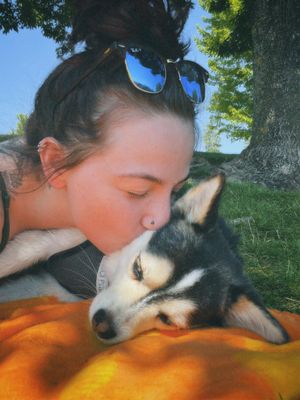 A husky dog and person share an affectionate moment while relaxing on an orange blanket outdoors on a sunny day.