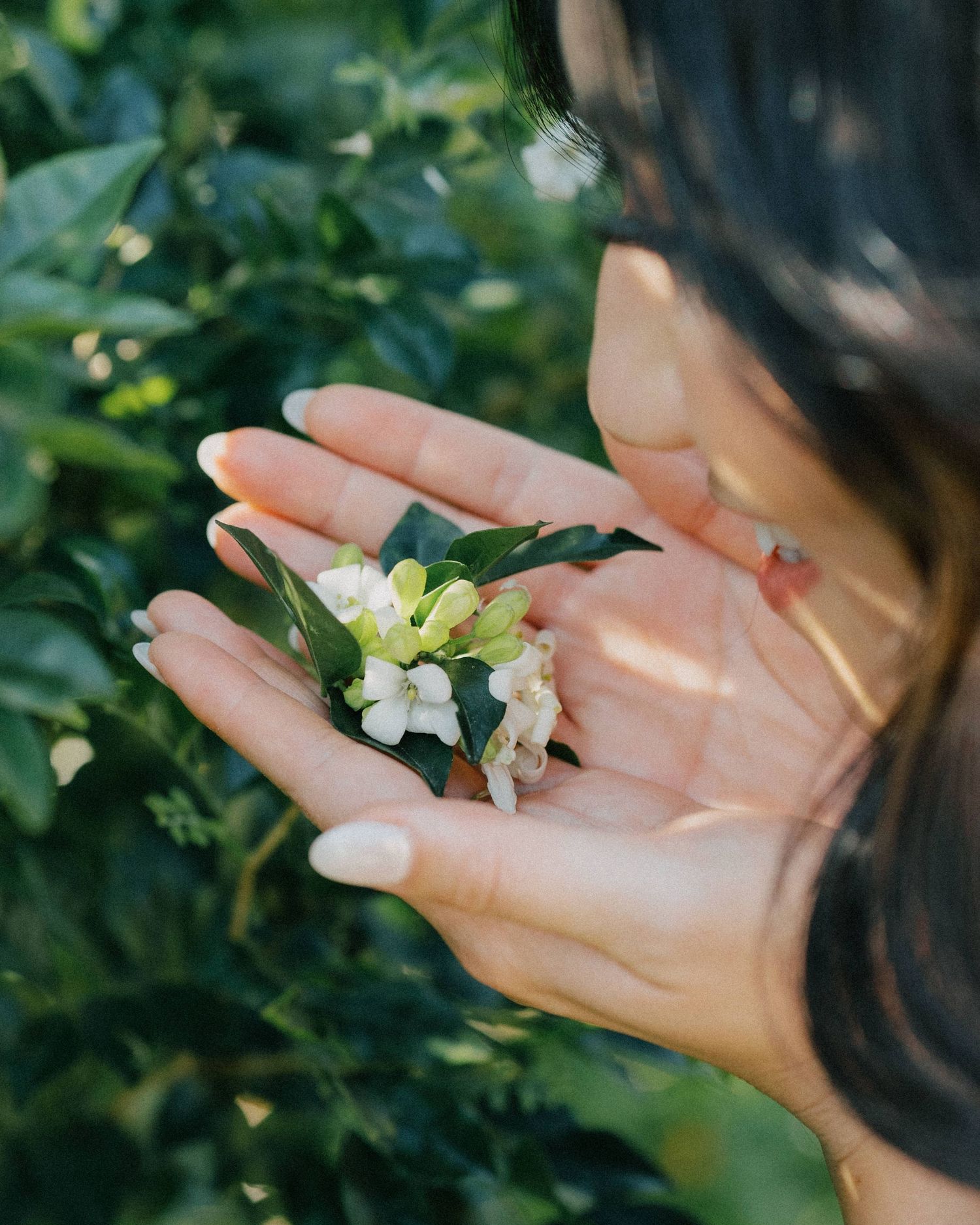 “Bride getting ready at The Refinery in Brisbane, surrounded by vibrant florals, captured by a candid wedding photograph