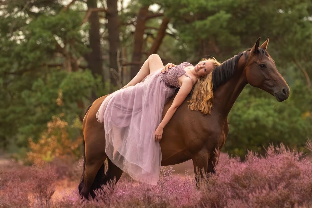 Vrouw in een lange roze jurk ligt achterover over de rug van een bruin paard tussen de bloeiende heide.