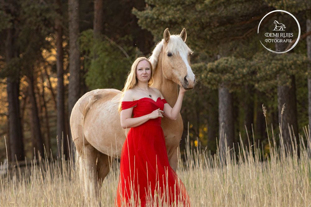 Paardenfotografie