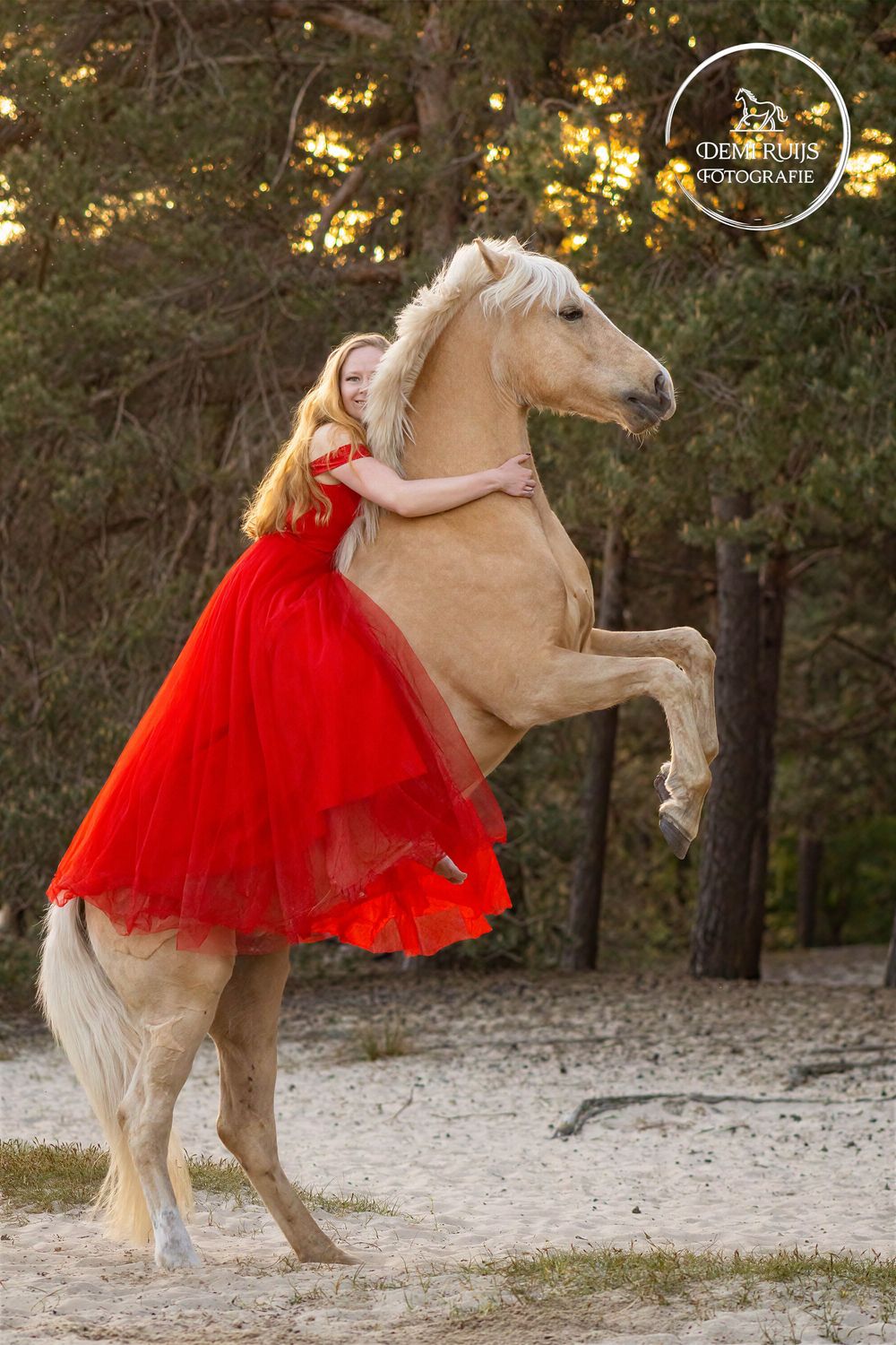 Paardenfotografie