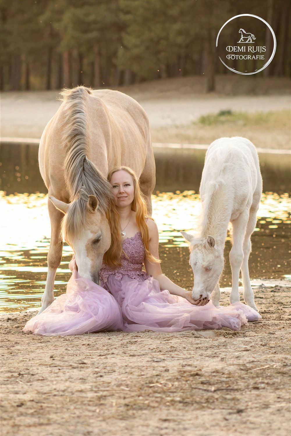 Paardenfotografie