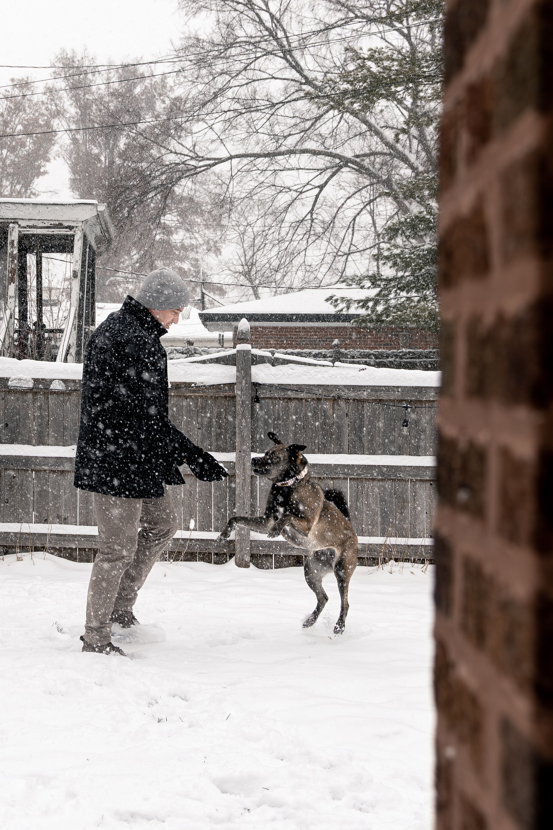 A German Shepherd dog plays with someone in the snow during a winter storm, creating a playful outdoor scene.