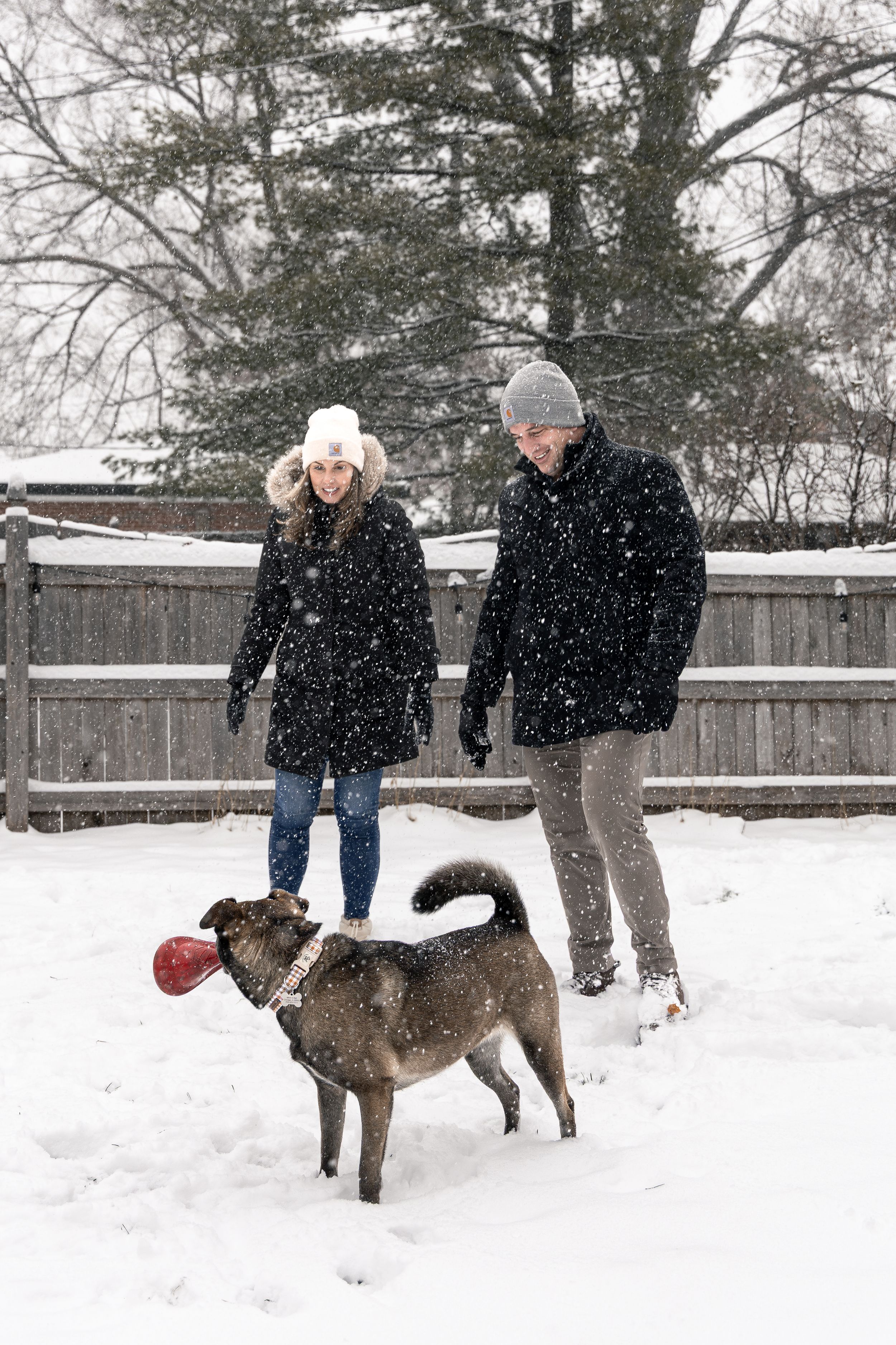 People play with their dog in a snowy backyard on a winter day.