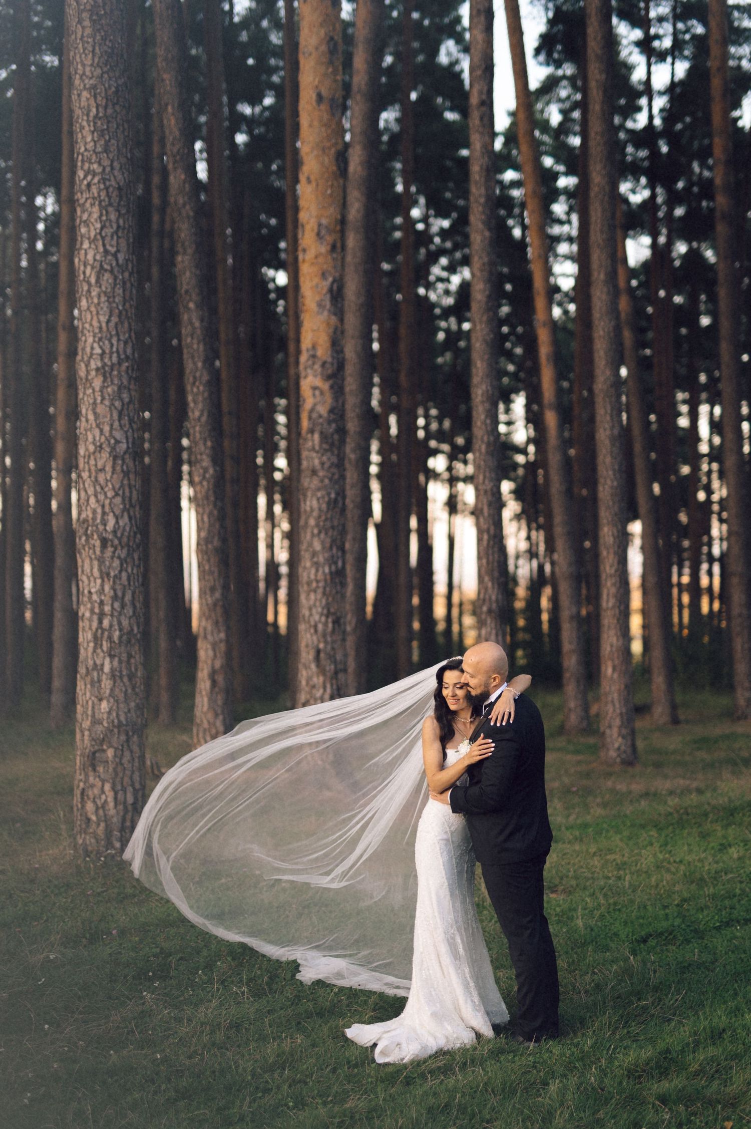 A romantic wedding couple embraces in a pine forest as the bride's veil flows dramatically in the wind at sunset.