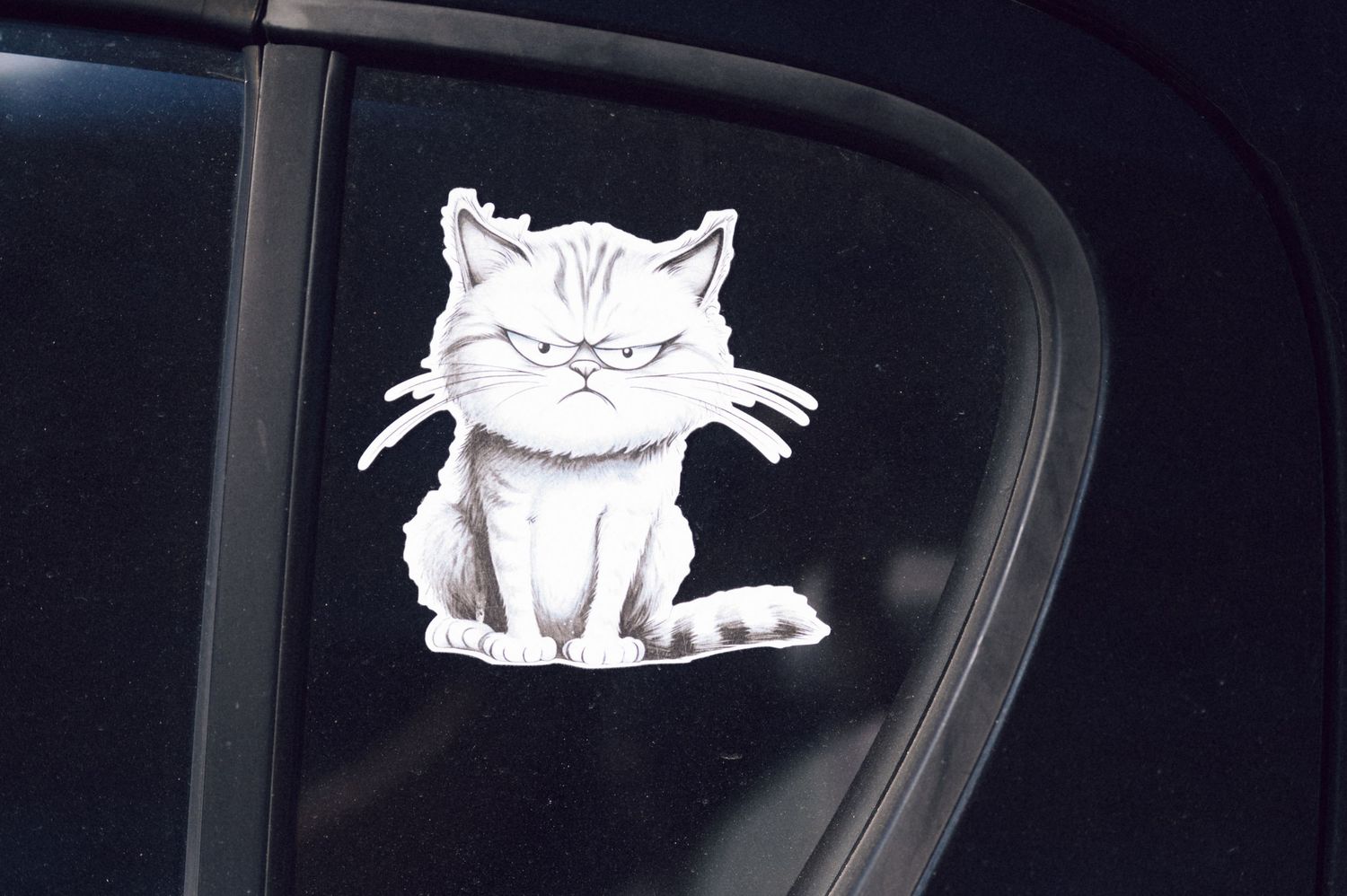 A white cartoon cat decal sticker on a car window shows a grumpy looking feline with squinted eyes and whiskers.