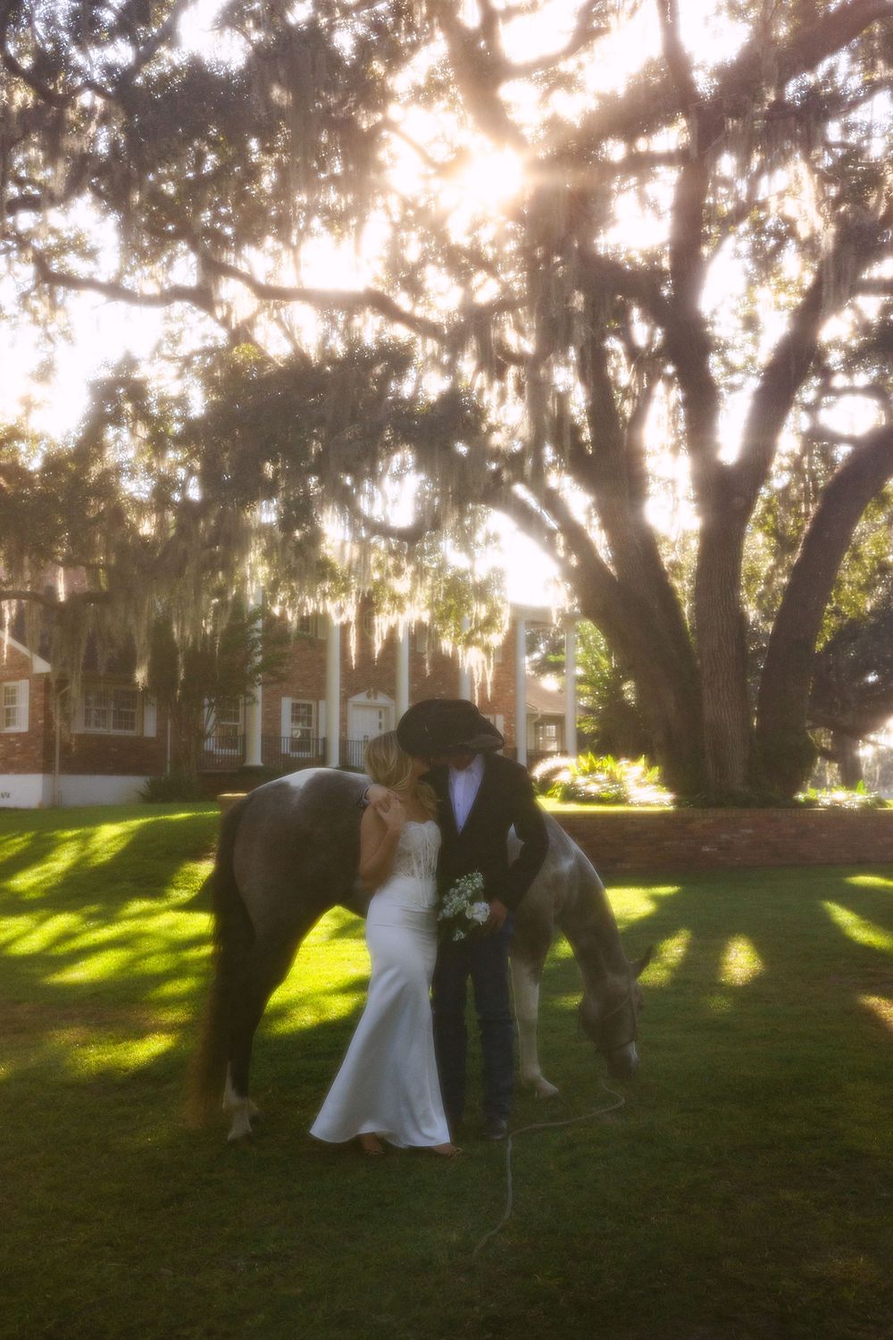 Newlyweds share a kiss beside a horse in golden sunlight under moss-draped oak trees at a romantic outdoor wedding.