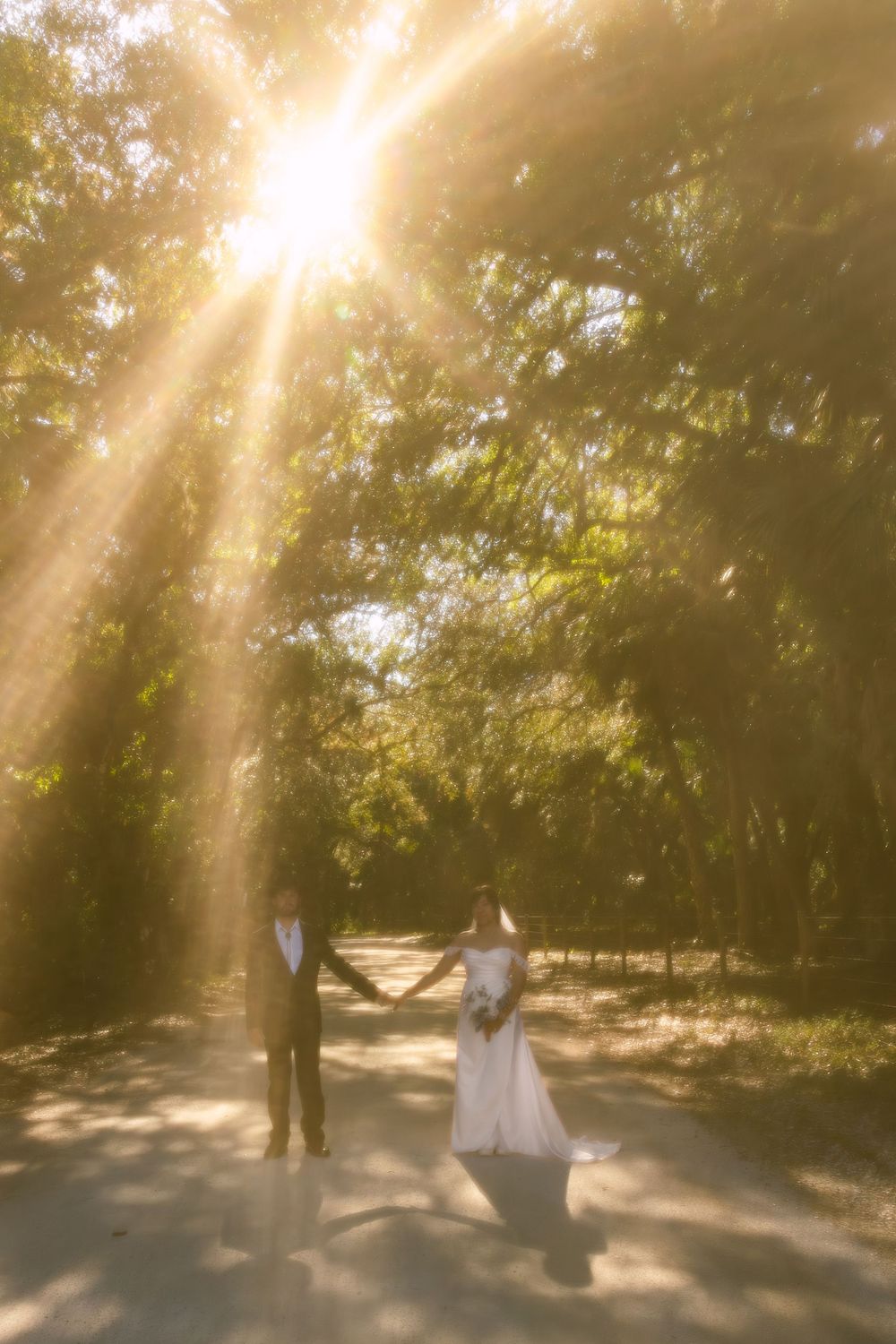 Bride and groom holding hands on a sunlit path surrounded by lush green trees with golden rays of light shining down.