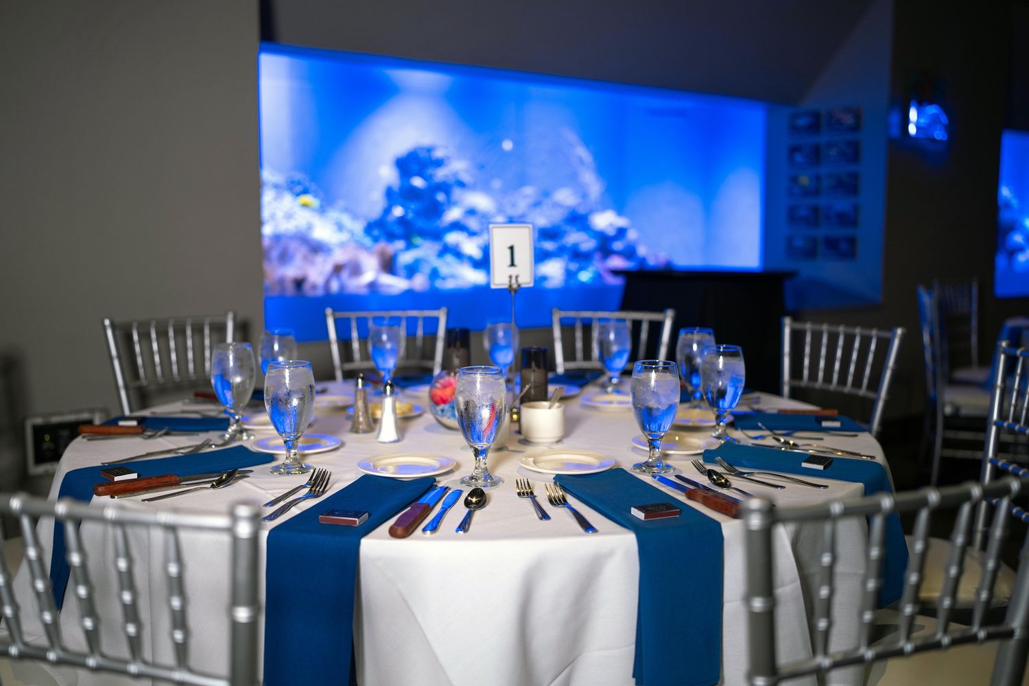 Elegant reception in Toledo zoo venue