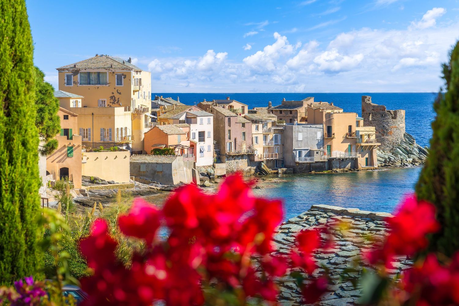 village de pêcheur d'erbalunga au cap corse avec fleurs rouges au premier plan
