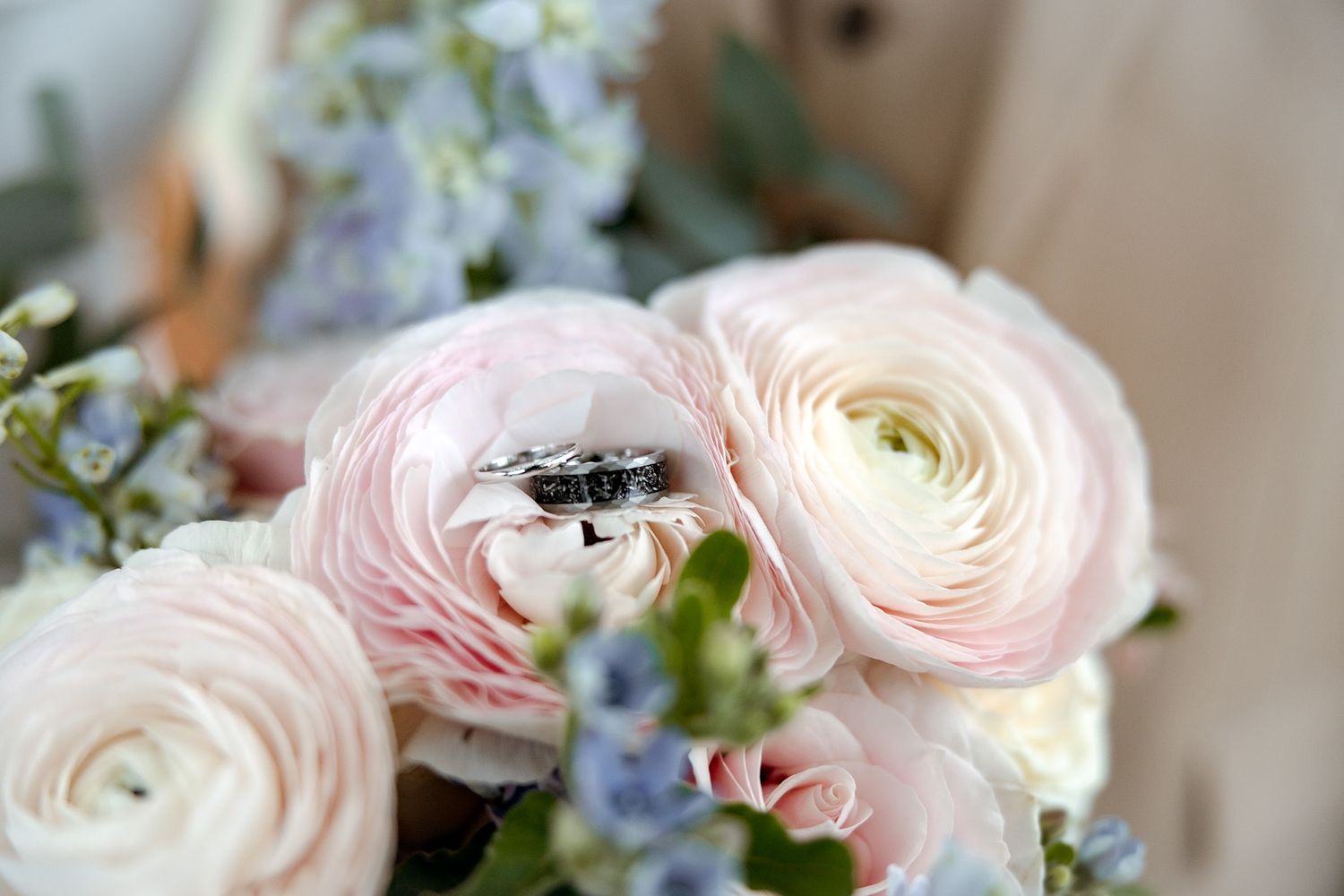 Wedding rings nestled in pink ranunculus bouquet with blue flowers and eucalyptus greenery. In ridgeway golf club Caerphilly.