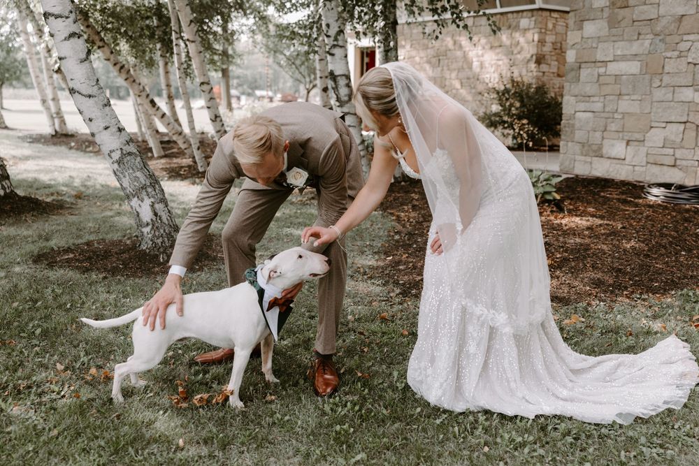 Bride and groom in wedding attire bend down to greet their white Bull Terrier dog outdoors.