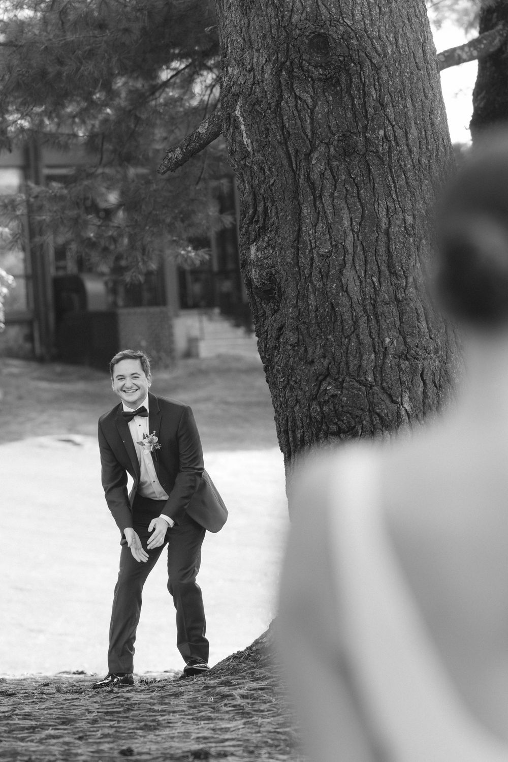 A series of black and white photos showing someone playfully peeking around a large tree trunk in a park setting.