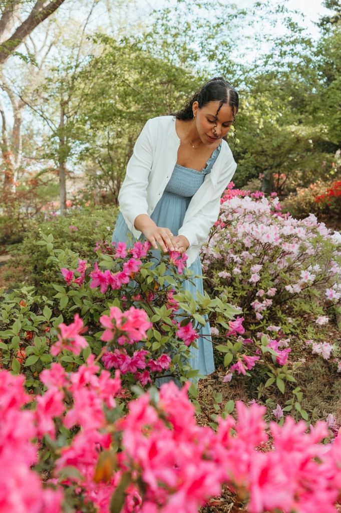 A woman in a blue dress and white jacket tends to vibrant pink azalea bushes in a lush garden.