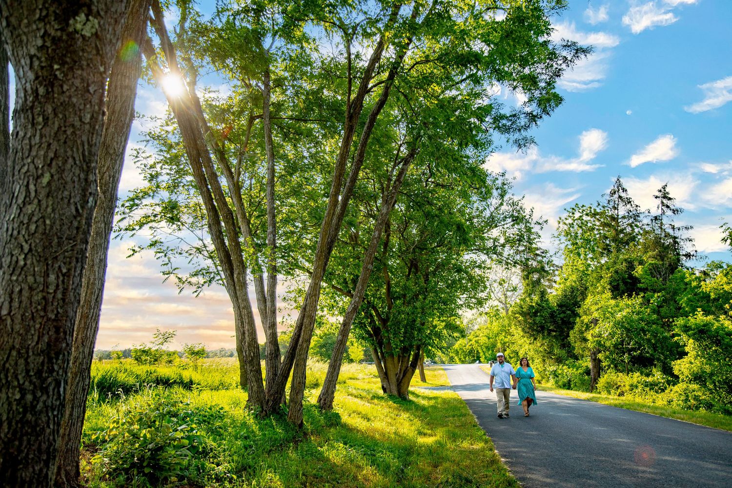 Two people walking on a scenic tree-lined road bathed in golden sunlight with lush green foliage and blue sky.