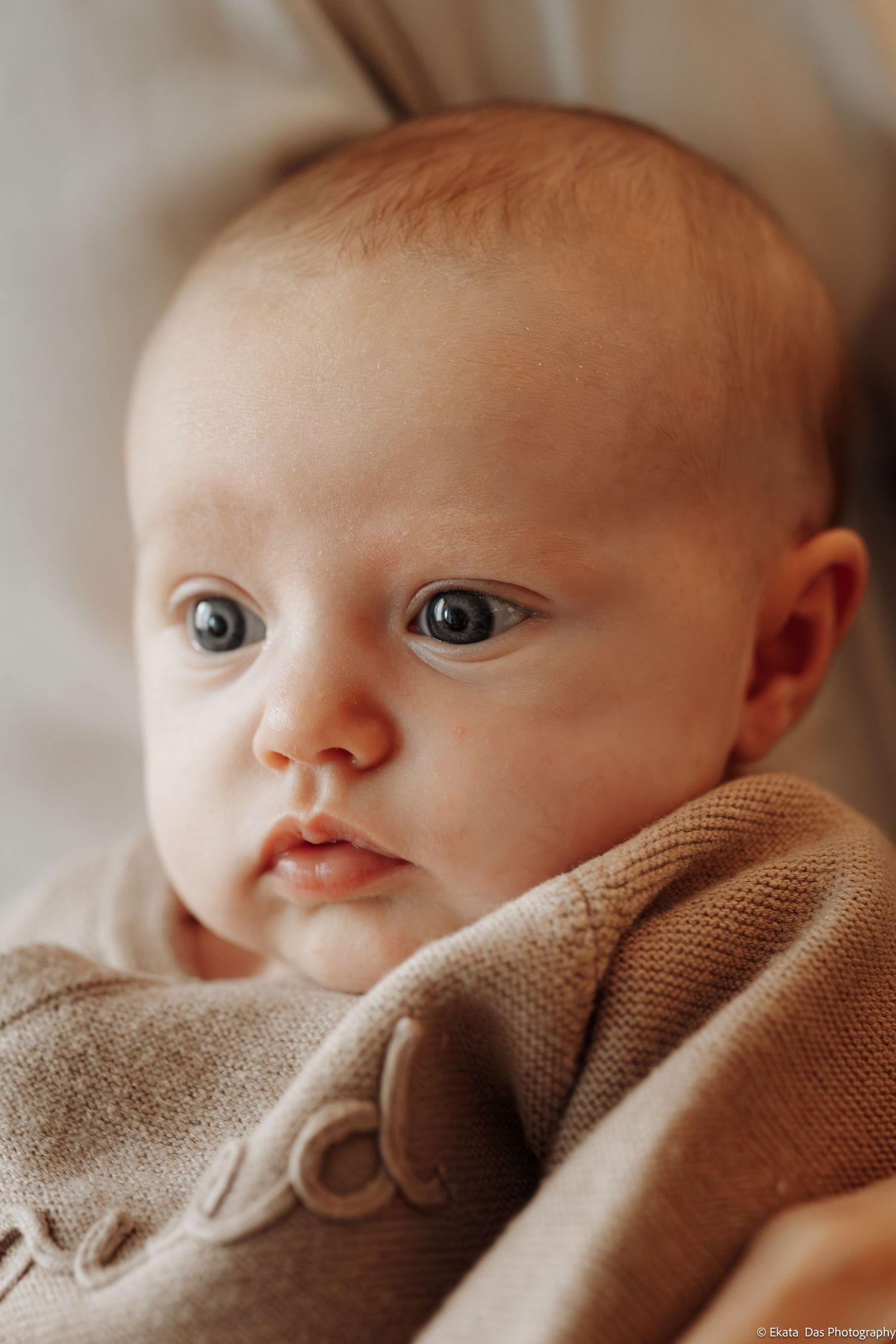 Close up portrait of baby in brown knit sweater showing different expressions.