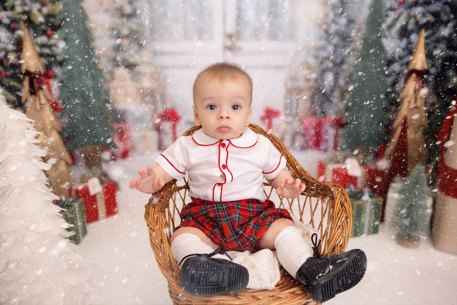 syosset christmas mini, Long Island christmas mini sessions, Long Island christmas photos, Long Island christmas pictures, Syosset christmas