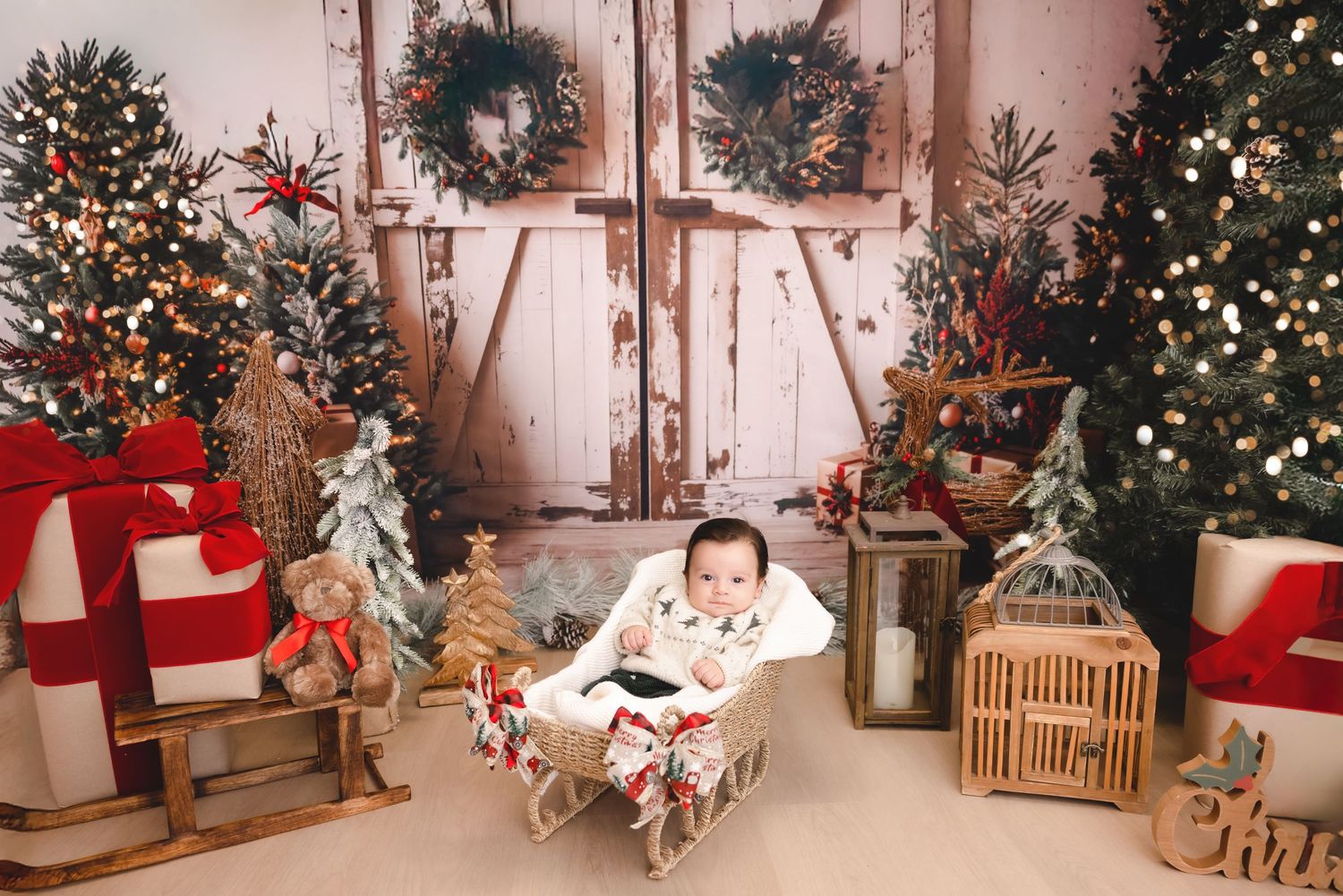 syosset christmas mini, Long Island christmas mini sessions, Long Island christmas photos, Long Island christmas pictures, Syosset christmas