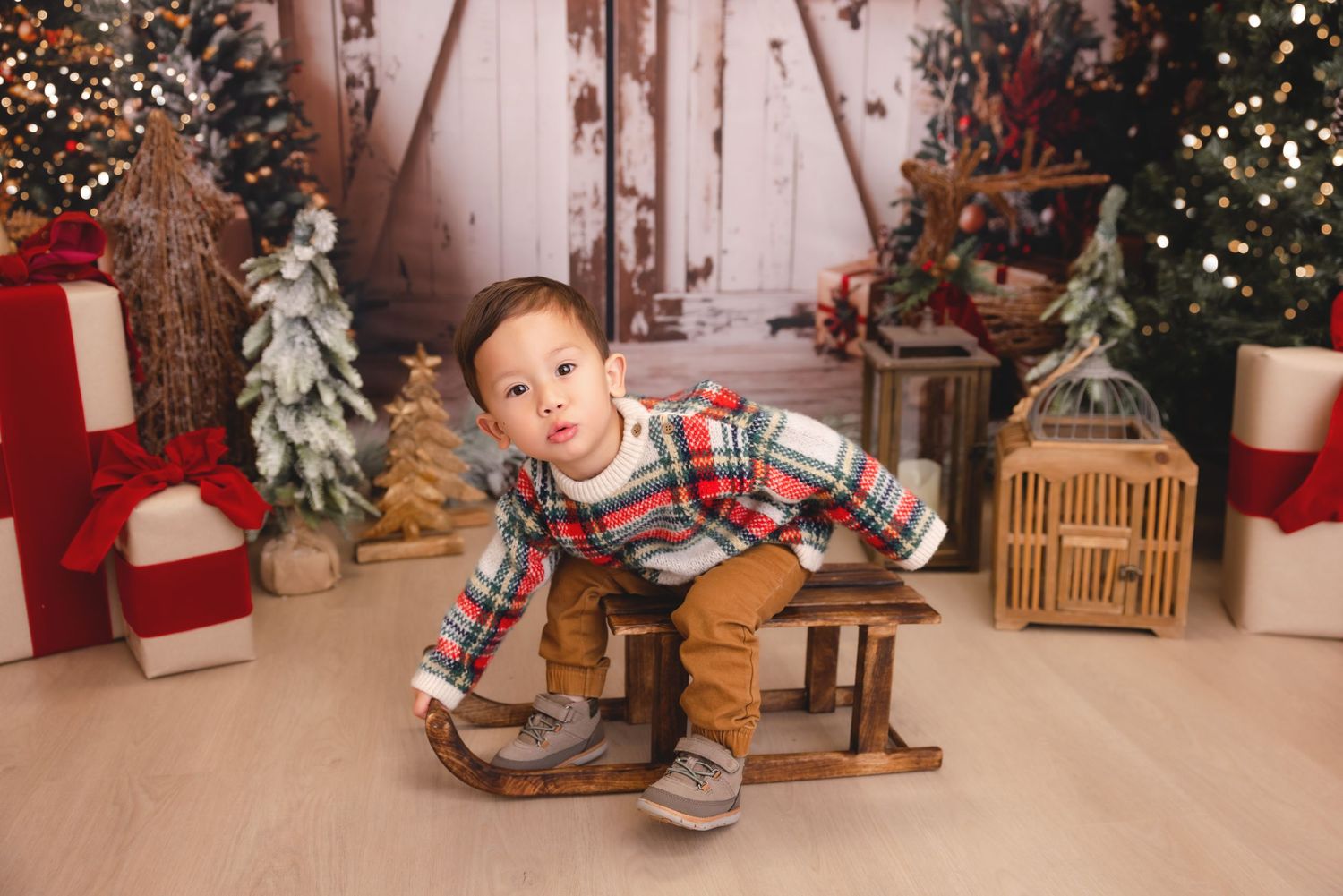 syosset christmas mini, Long Island christmas mini sessions, Long Island christmas photos, Long Island christmas pictures, Syosset christmas