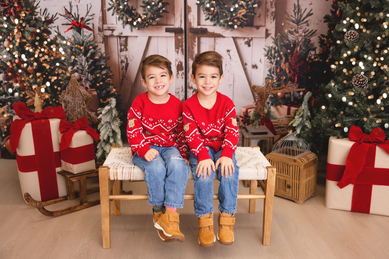 syosset christmas mini, Long Island christmas mini sessions, Long Island christmas photos, Long Island christmas pictures, Syosset christmas