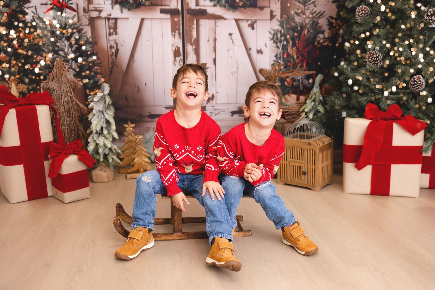 syosset christmas mini, Long Island christmas mini sessions, Long Island christmas photos, Long Island christmas pictures, Syosset christmas