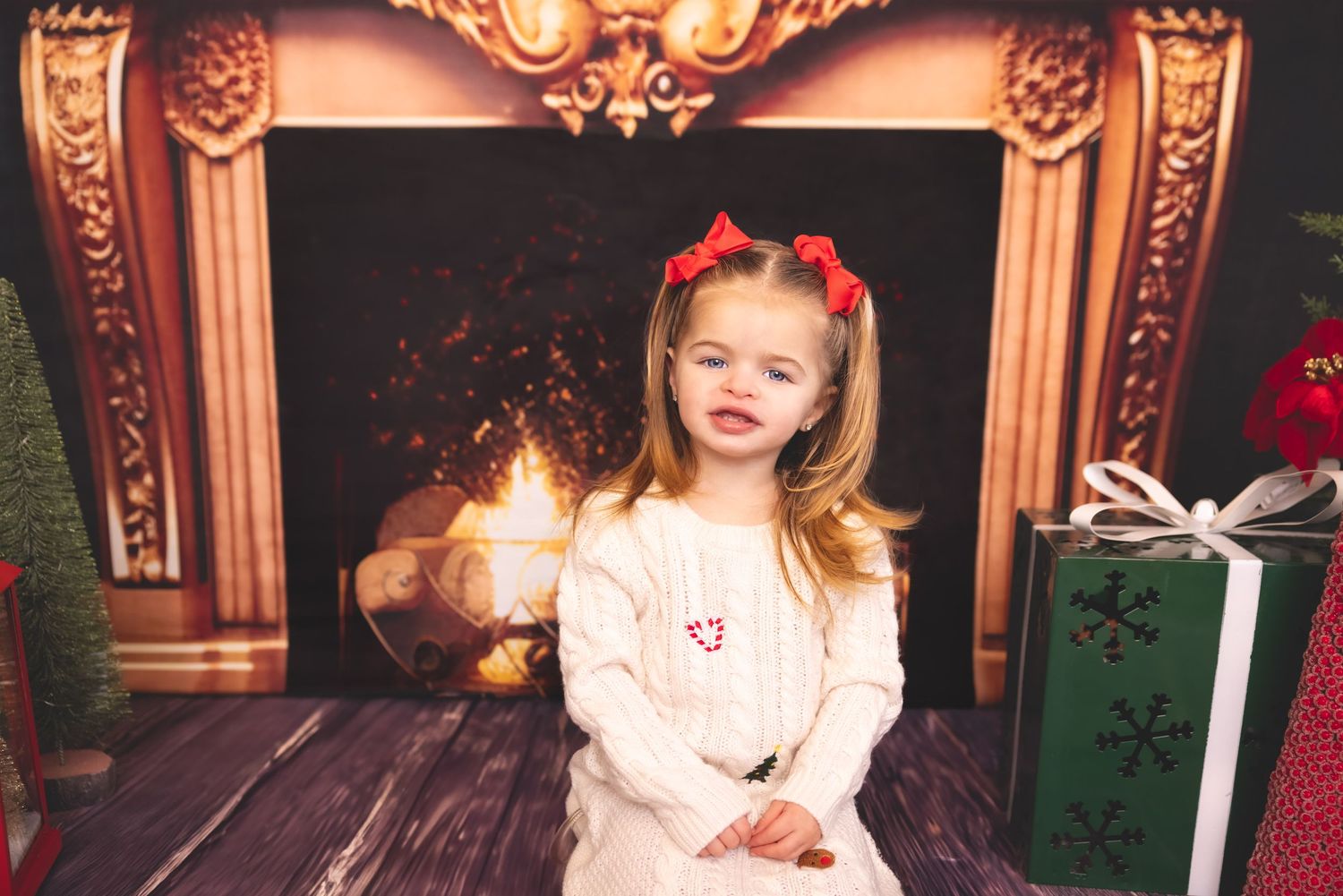 Long Island holiday photographer, Long Island christmas mini sessions, Nassau county holiday photographer, Long Island christmas minis