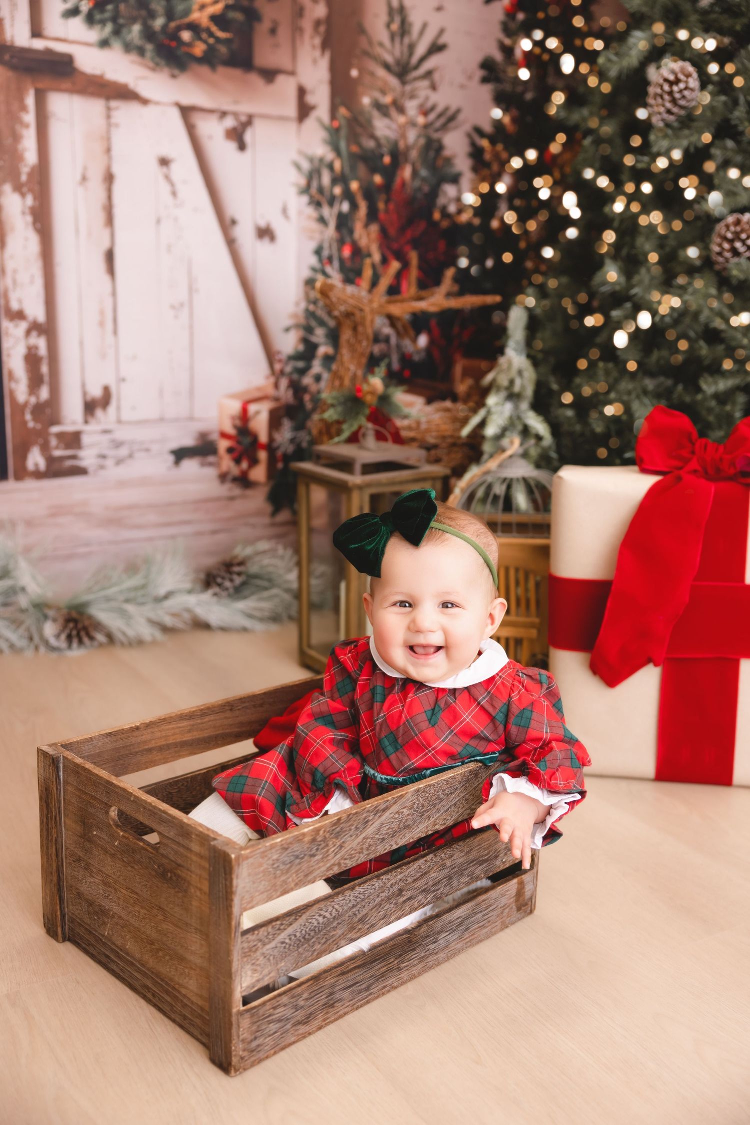 syosset christmas mini, Long Island christmas mini sessions, Long Island christmas photos, Long Island christmas pictures, Syosset christmas