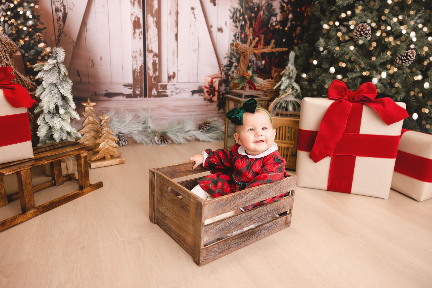 syosset christmas mini, Long Island christmas mini sessions, Long Island christmas photos, Long Island christmas pictures, Syosset christmas