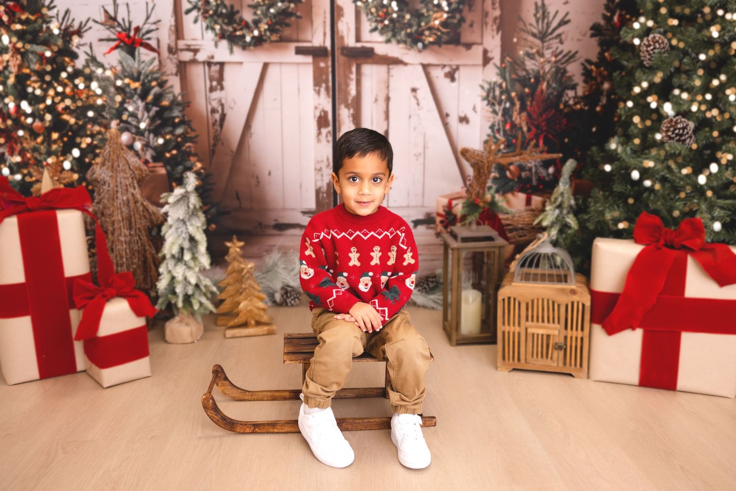 syosset christmas mini, Long Island christmas mini sessions, Long Island christmas photos, Long Island christmas pictures, Syosset christmas