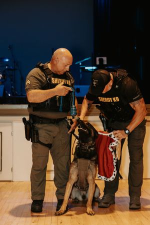 Law enforcement officers conduct a thorough search and investigation during a security operation.