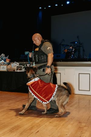 A bulldog wearing a red bandana performs tricks while sliding across a wooden floor.