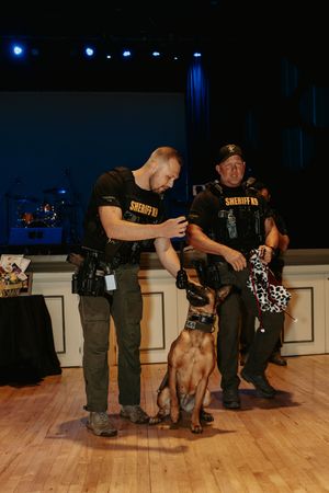 K9 unit officers working with police dogs during training demonstration on hardwood floor.