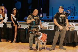 Law enforcement officers conducting a K9 training demonstration in a performance space.