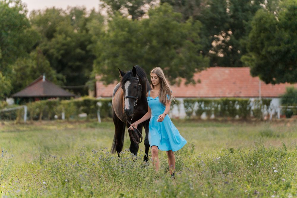 a black horses walks a green summer meadow with trees and houses in the background with a girl in a blue dress during an equine photoshoot