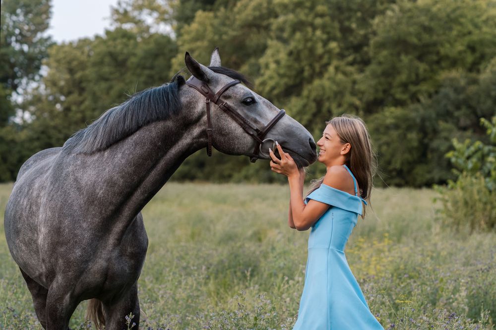 A majestic horse stands in profile against a green summer landscape with yellow flowers with a girl equine photoshoot in Sydney