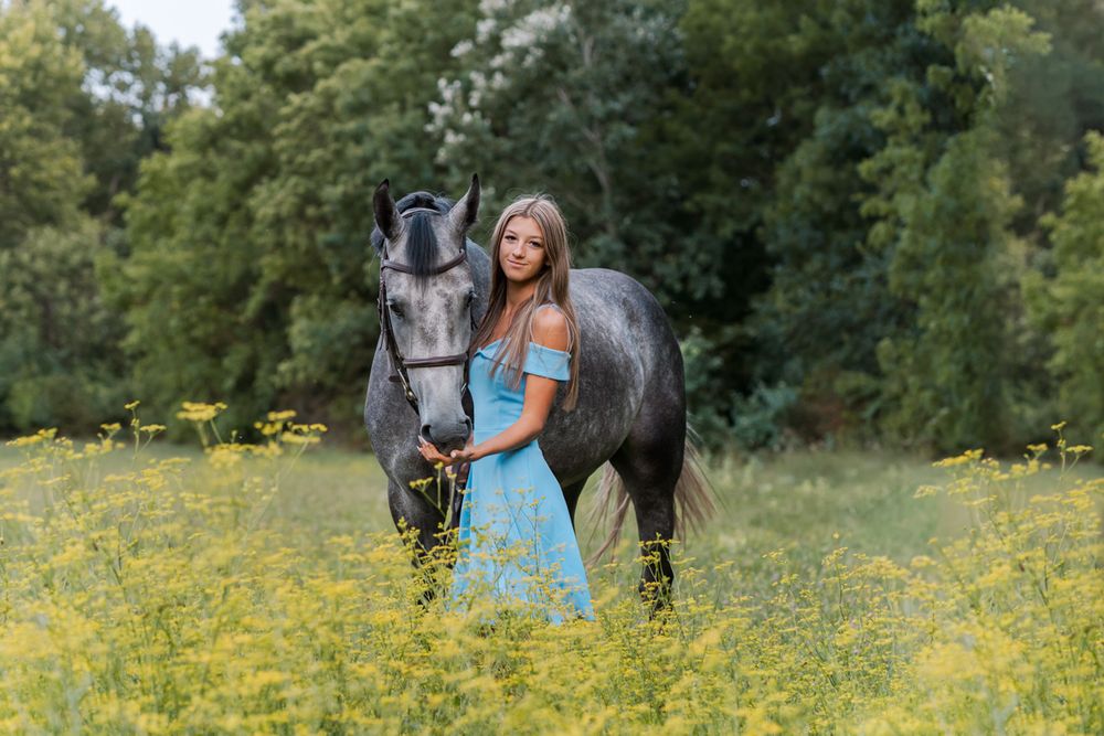 A dark horse and companion share a tender moment in a field of blooming yellow wildflowers equine photoshoot in Sydney