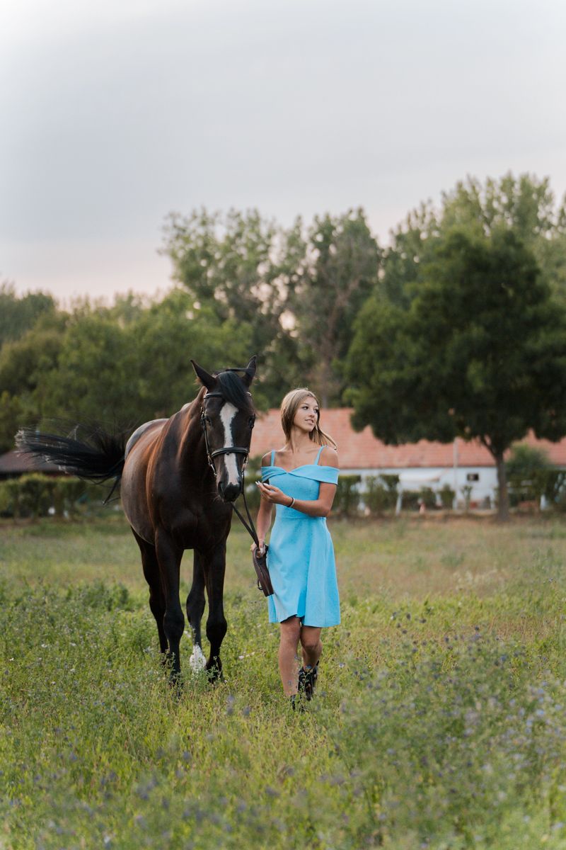 A person in a blue dress walk with a dark horse in a wildflower meadow at sunset during a photoshoot in Sydney