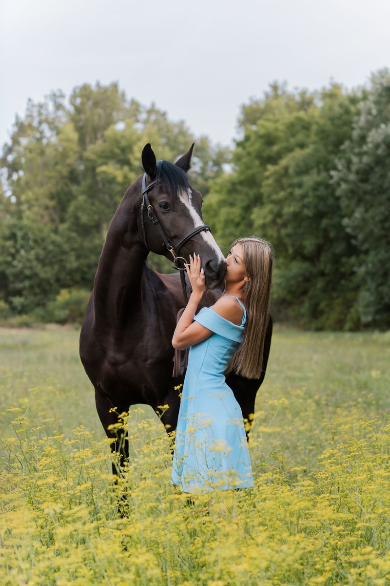 A girl in a light blue dress stands with a black horse in a wildflower meadow on a summer day during an equine photoshoot in Sydney