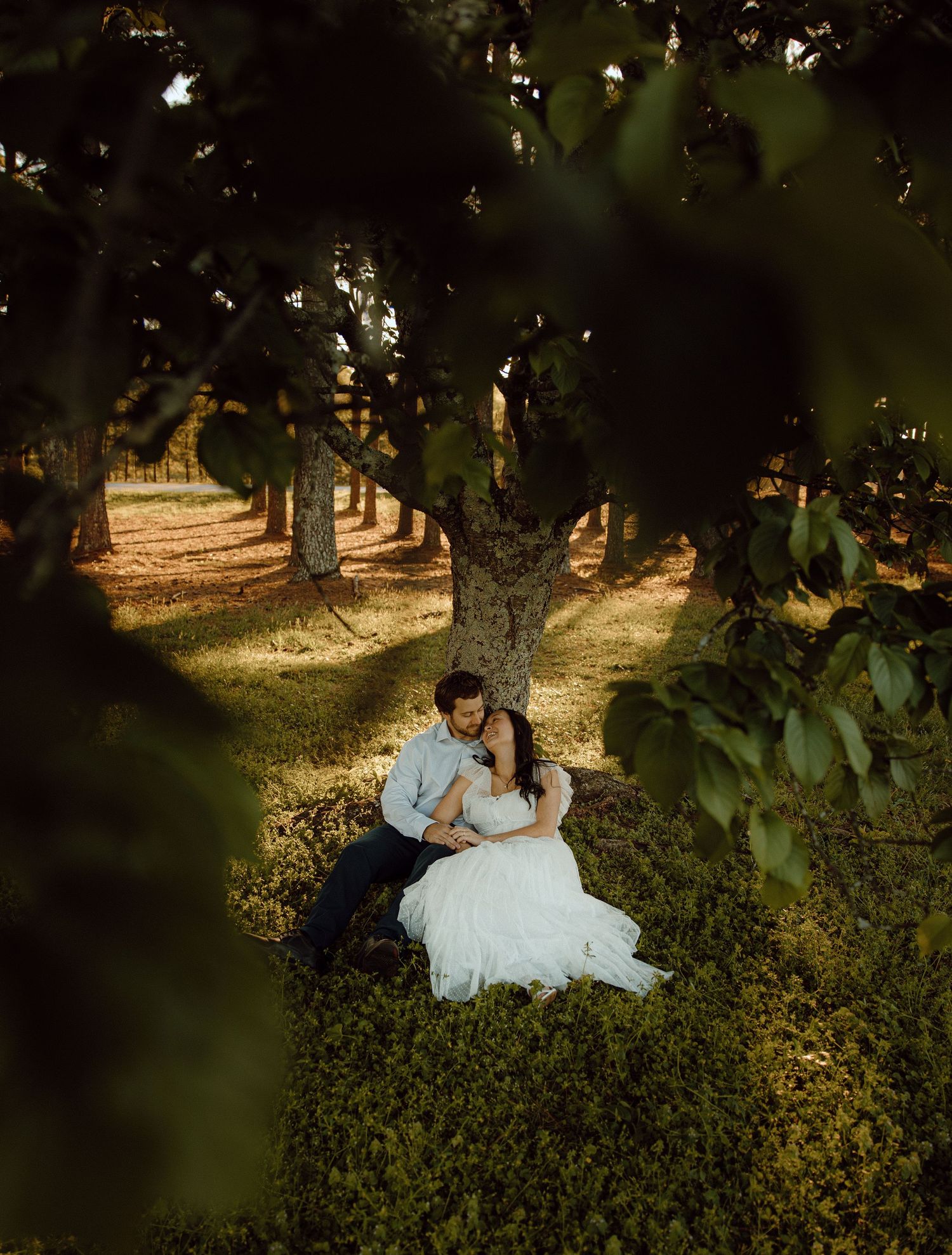 A romantic couple sits together on grass in a wooded area during golden hour.