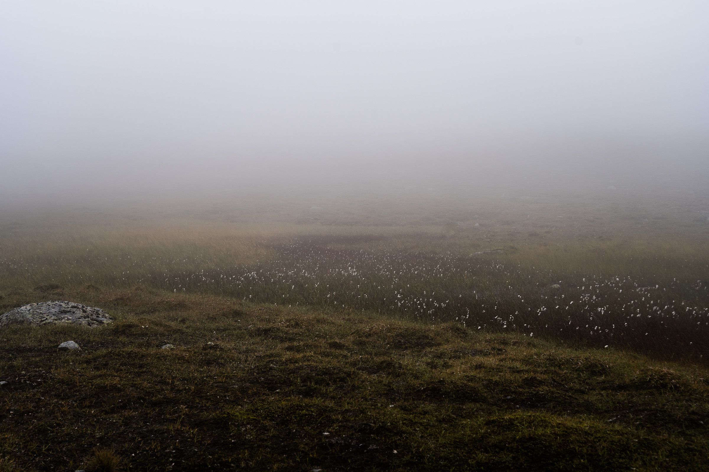 Ammarnäs, Aigert, Vindelfjällen, Fotograf Alison De Mars, fine art, landskap, reindeer, fjällvandring