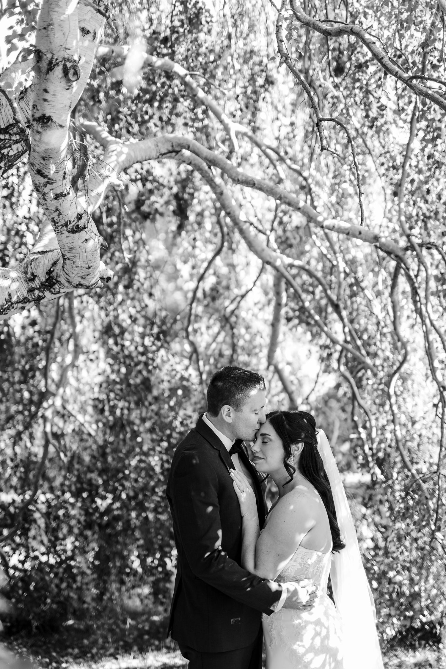 A romantic black and white photo series of a couple sharing intimate moments under birch trees.