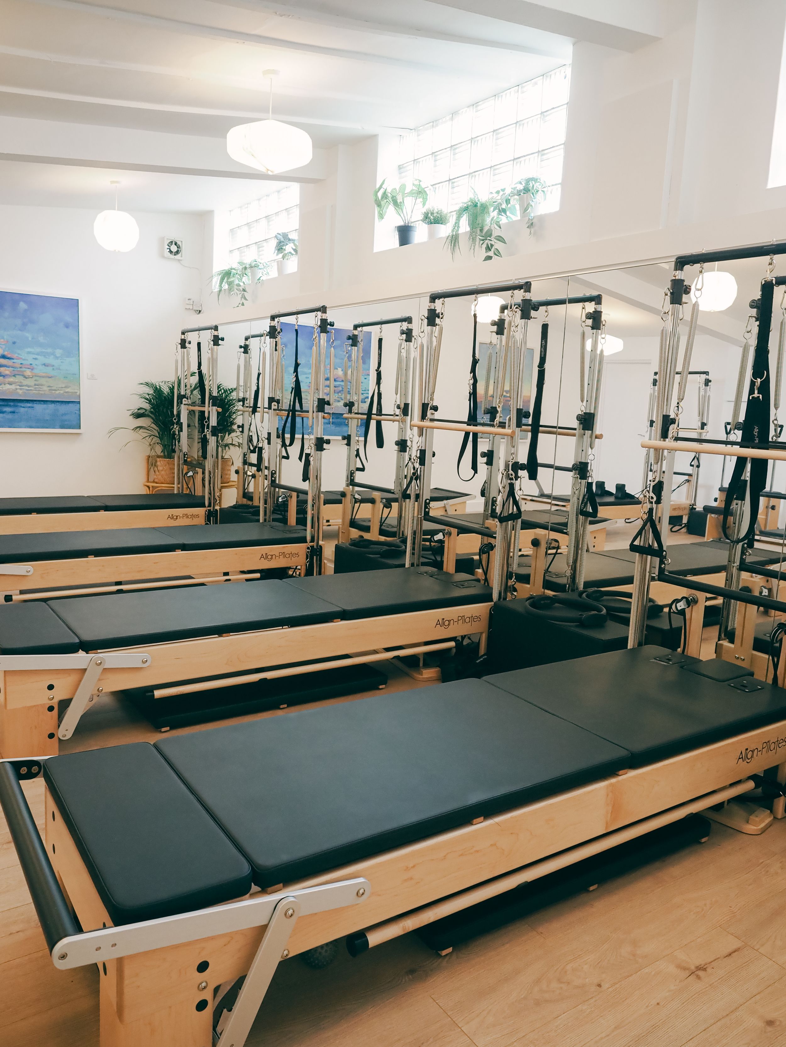 Professional Pilates studio with multiple reformer machines arranged in rows on a light wooden floor with white walls.