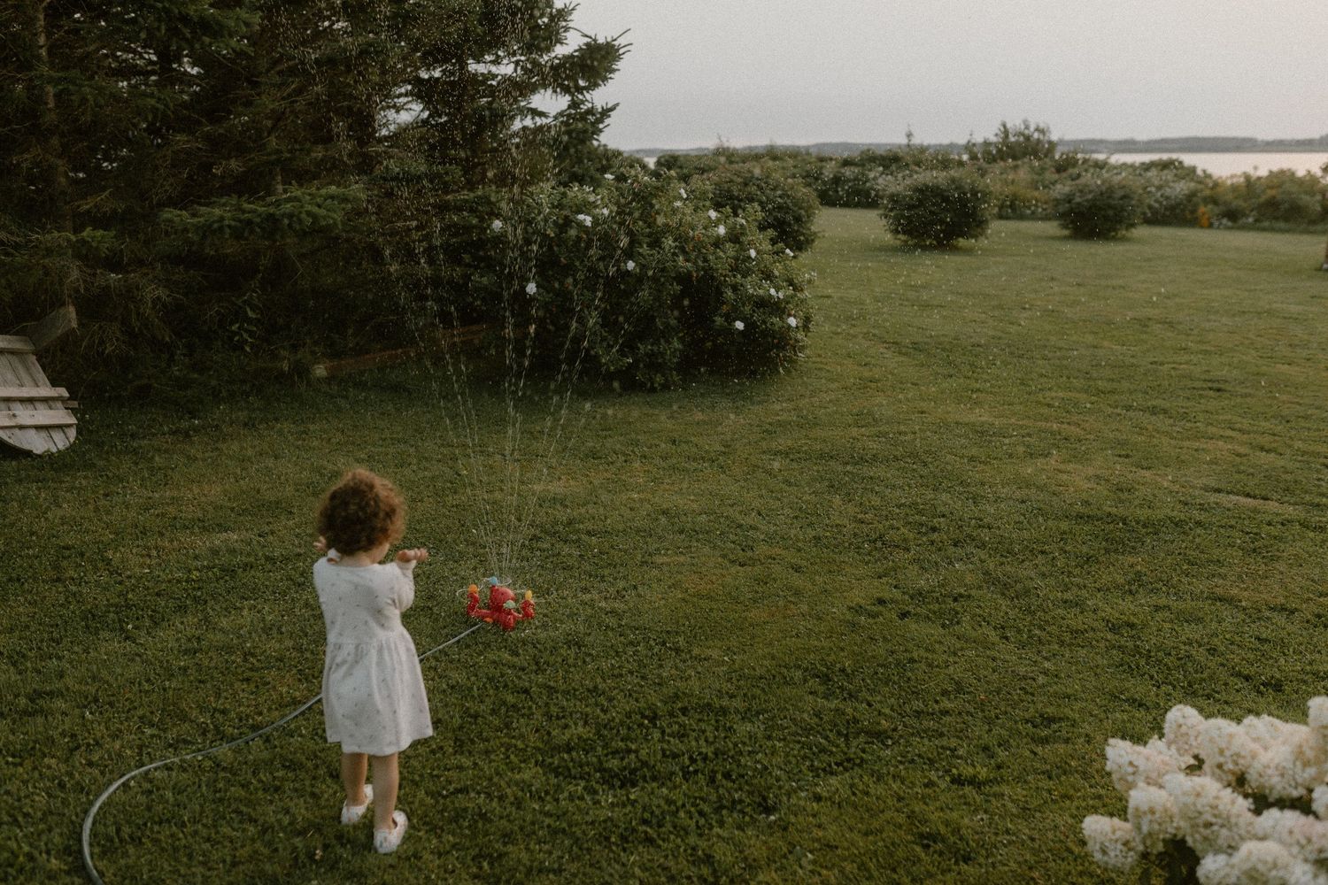 A serene coastal landscape with green grass and trees overlooking a tranquil beach and ocean view.