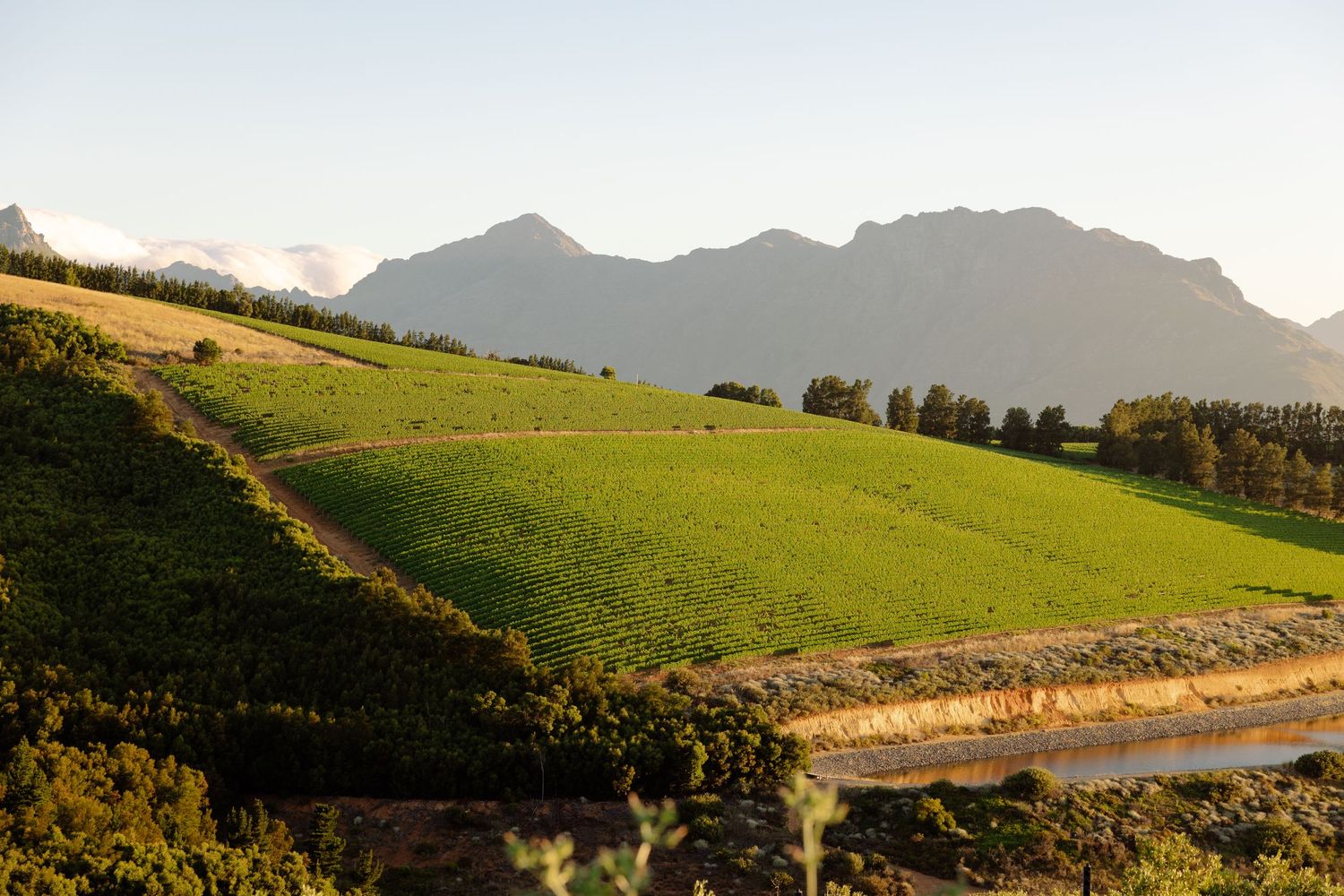 Rolling green hills and pastures stretch across a scenic rural landscape with stone walls and scattered trees.