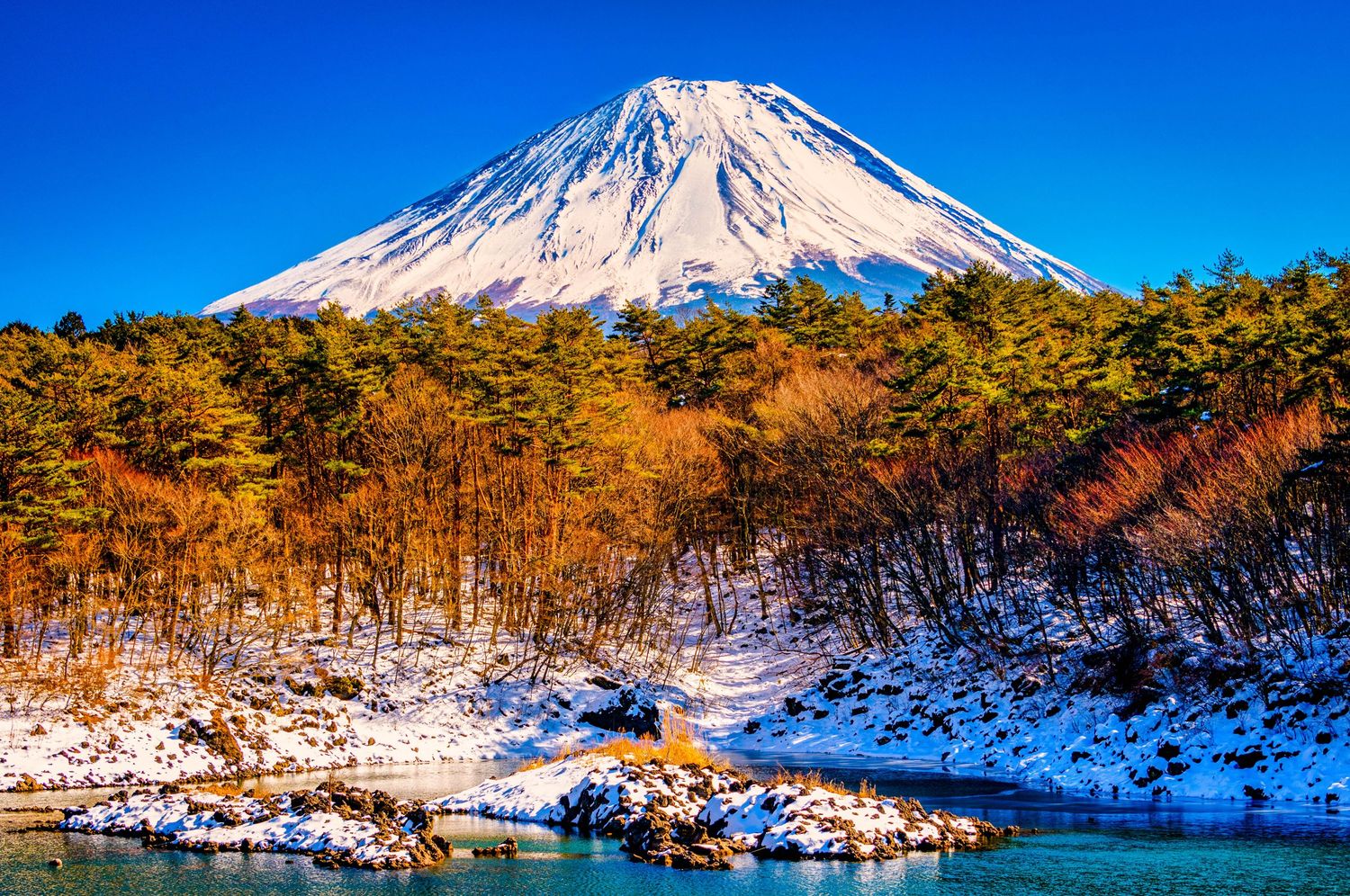 Snow-capped Mount Fuji rises majestically above autumn trees against a vivid blue sky in Japan.