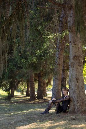 People relaxing in the shade of large trees on a sunny summer day in a peaceful park setting.