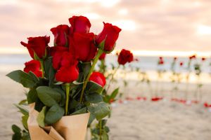 Red roses in vase with beach sunset and scattered petals in background.