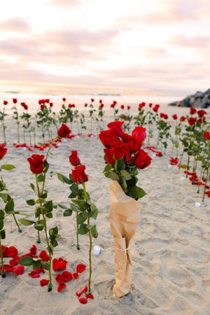 Red roses arranged in a heart shape on a sandy beach at sunset with waves in the background.