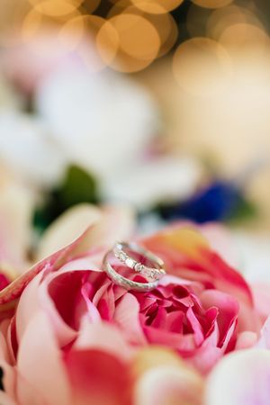 Wedding rings nestled in pink rose petals with soft bokeh lighting in the background.