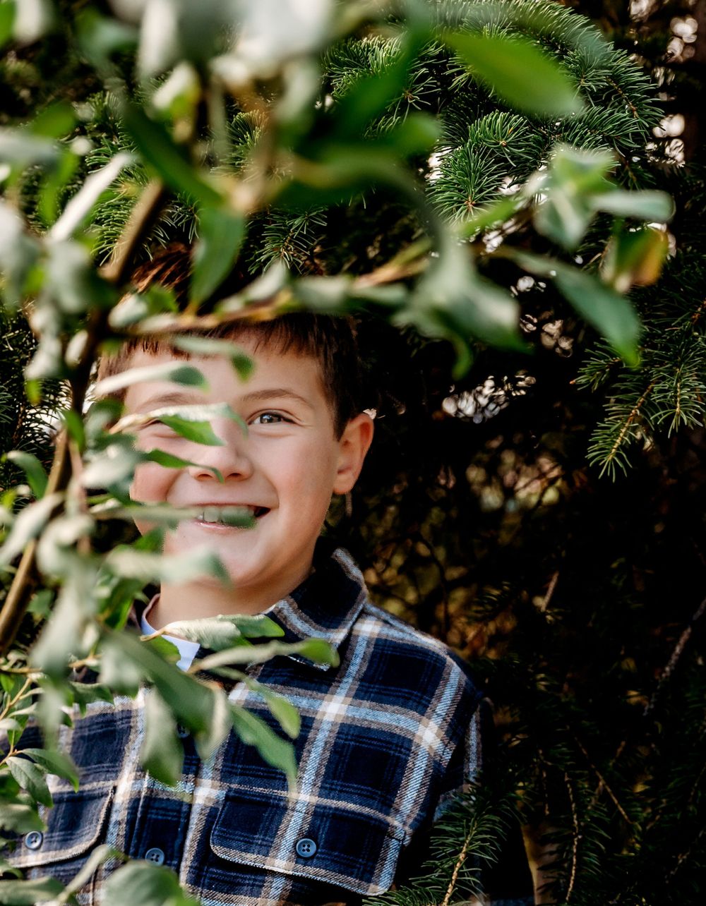 A playful portrait through evergreen branches in a natural outdoor setting.